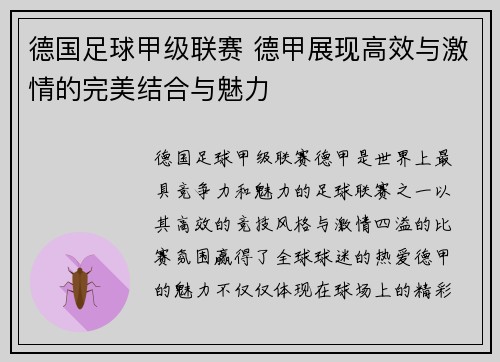 德国足球甲级联赛 德甲展现高效与激情的完美结合与魅力