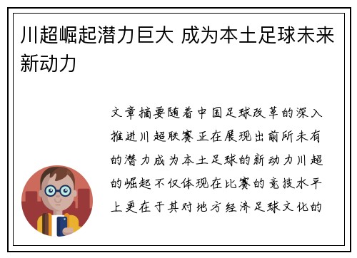 川超崛起潜力巨大 成为本土足球未来新动力